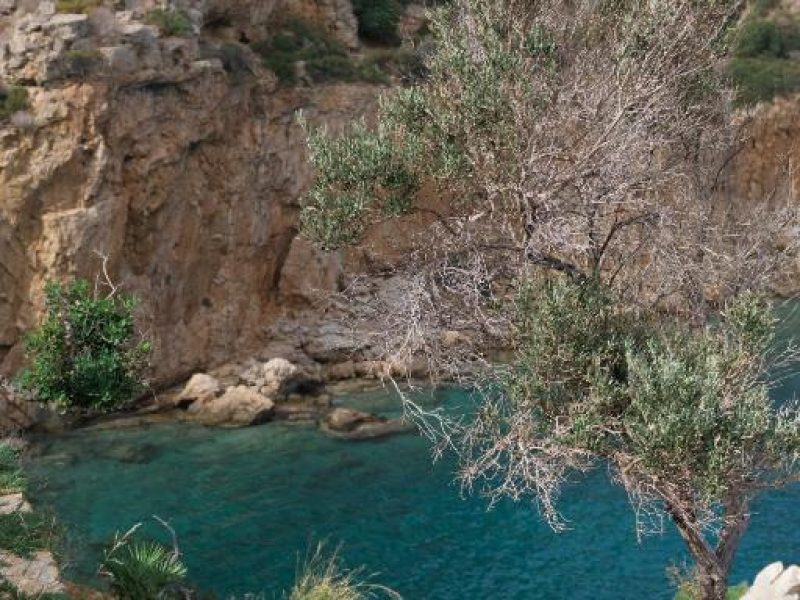 villas-pro - 2076 - 26