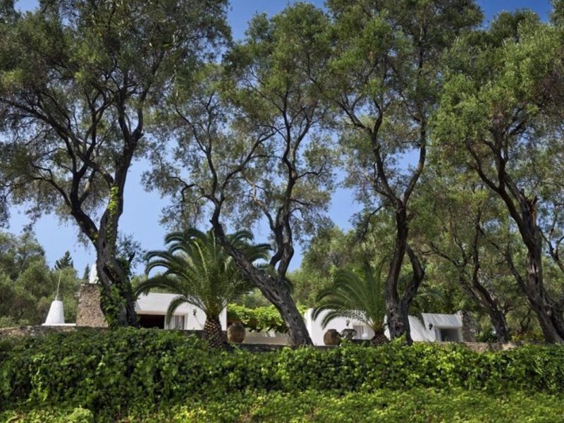 villas pro olive grove
